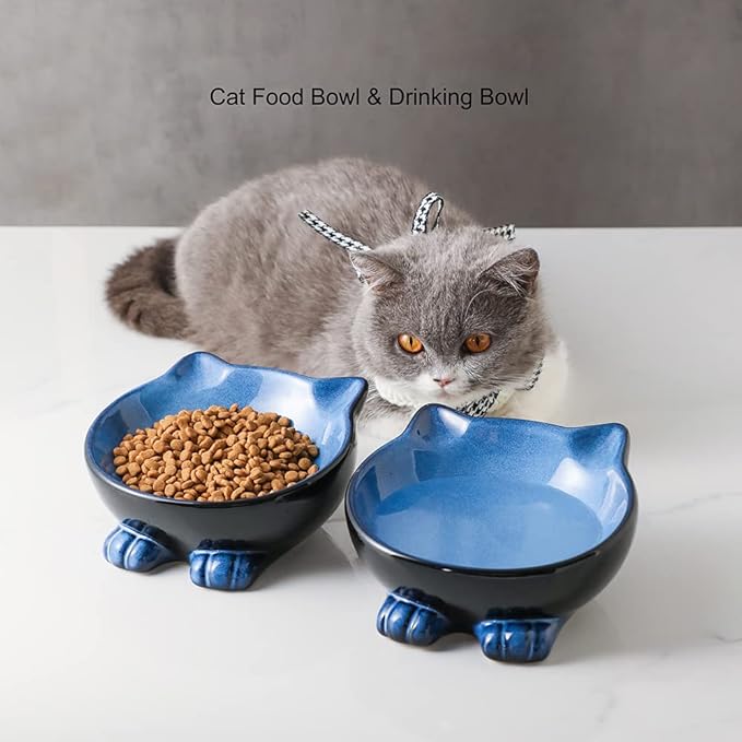 Nihow Ceramic Basic Cat Bowls: 6.25 Inch Cat Bowl for Food & Water - Food Grade Cat Dish for Large-Sized Cat/Medium-Sized Dog - Microwave & Dishwasher Safe -Elegant Blue & Black (8.5 OZ /1 PC) - PAWPICO