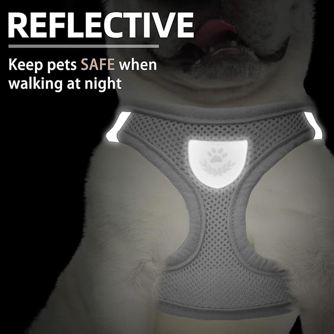 PUPTECK Adjustable Dog Harness Collar and Leash Set Step in No Pull Pet Harness for Small Medium Dogs Puppy and Cats Outdoor Walking Running, Soft Mesh Padded Reflective Vest Harnesses, Solid Grey XS PUPTECK