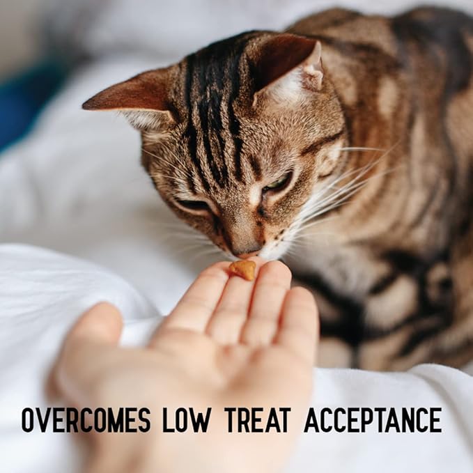 Hip + Joint Mobility Collar for Cats with Glucosamine, Chondroitin, MSM, and More | Convenient & Easy | 30 Days of Continuous Support | Water Resistant, Adjustable Activphy