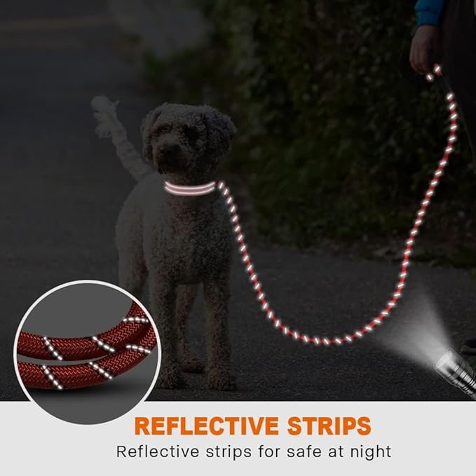 Taglory Rope Dog Leash 6 FT with Comfortable Padded Handle, Highly Reflective Threads Leash for Small Dogs, 3/8 inch, Red Taglory