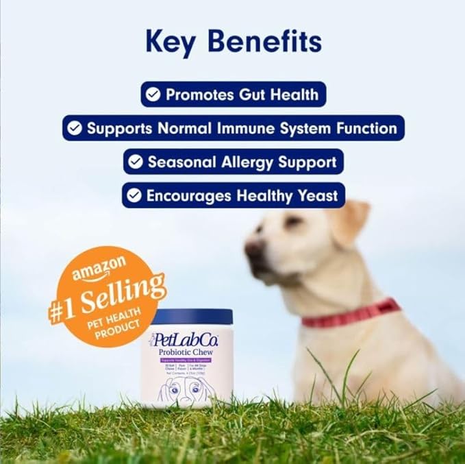 PetLab Co. Probiotics for Dogs, Support Gut Health, Occasional Diarrhea, Digestive Health & Seasonal Allergies - Pork Flavor - 30 Soft Chews - Packaging May Vary PetlabCo