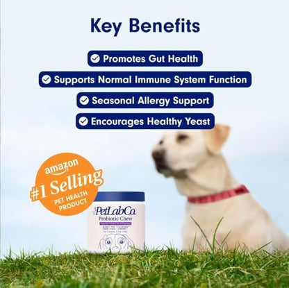 PetLab Co. Probiotics for Dogs, Support Gut Health, Occasional Diarrhea, Digestive Health & Seasonal Allergies - Pork Flavor - 30 Soft Chews - Packaging May Vary PetlabCo