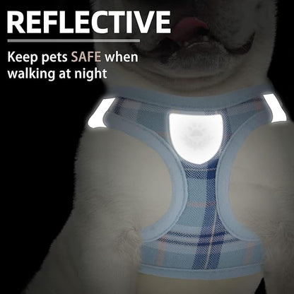 PUPTECK Adjustable Dog Harness Collar and Leash Set Step in No Pull Pet Harness for Small Medium Dogs Puppy and Cats Outdoor Walking Running, Soft Mesh Padded Reflective Vest Harnesses, Blue XXS PUPTECK