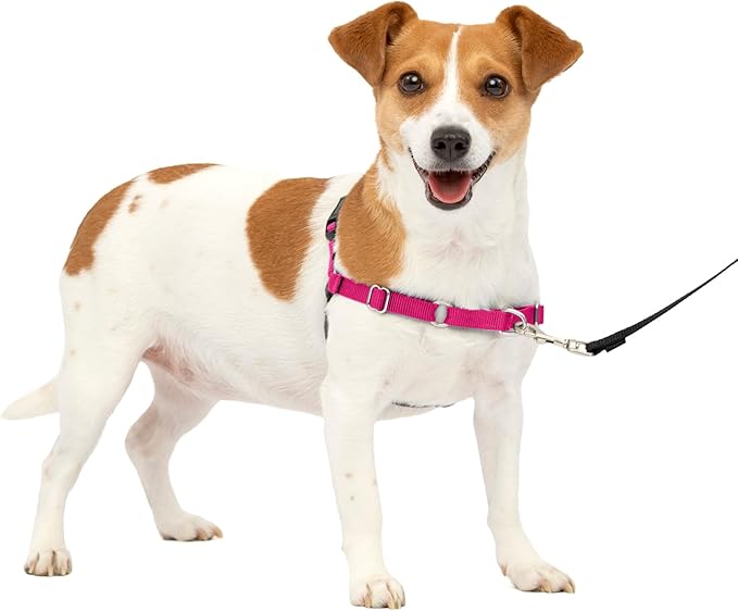 PetSafe Easy Walk No-Pull Dog Harness - The Ultimate Harness to Help Stop Pulling - Take Control & Teach Better Leash Manners - Helps Prevent Pets Pulling on Walks, Small, Raspberry/Gray PetSafe