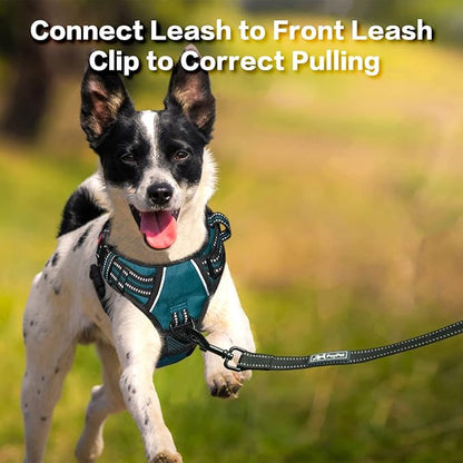 PoyPet No Pull Dog Harness, No Choke Front Clip Reflective Dog Vest with Soft Padded Vertical Handle, 3 Leash Attachments for Small Medium Large Dogs (Tumalo Teal,S) PoyPet