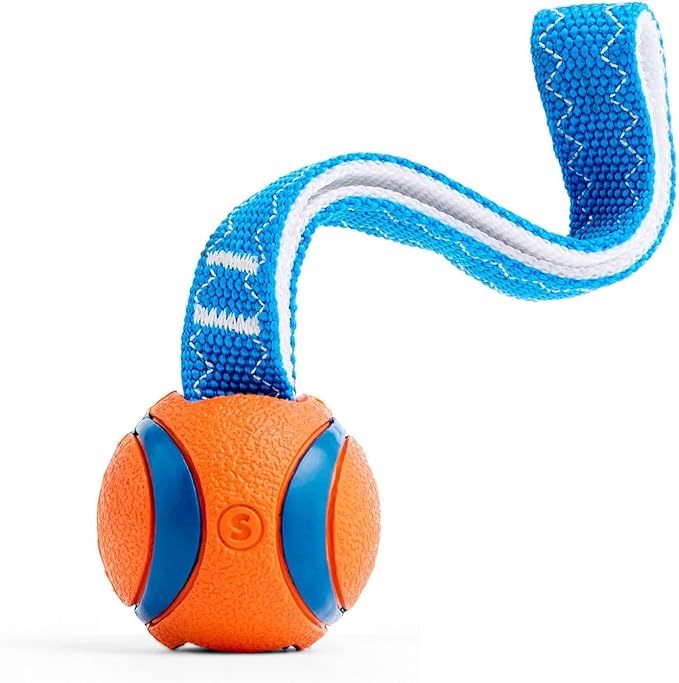 Chuckit! Ultra Tug Dog Toy, Small Fetch and Dog Ball Tug Toy for Dogs 0-20 Pounds - PAWPICO