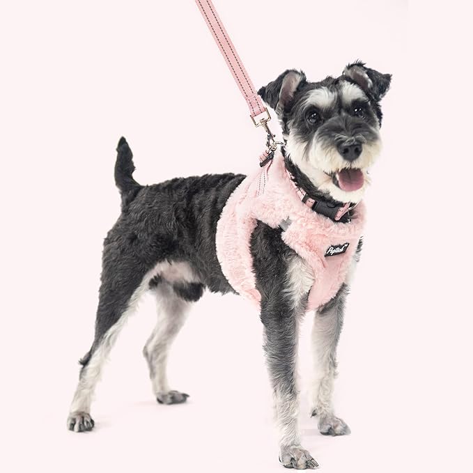 PUPTECK Adjustable Dog Harness Collar and Leash Set Step in No Pull Pet Harness for Small Medium Dogs Puppy and Cats Outdoor Walking Running, Soft Mesh Padded Reflective Vest Harnesses, Plush Pink S PUPTECK