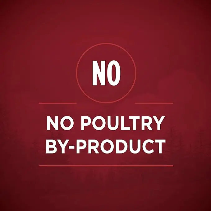 Purina ONE High Protein Wet Dog Food True Instinct Tender Cuts in Dog Food Gravy With Real Beef and Wild-Caught Salmon - (Pack of 12) 13 oz. Cans - PAWPICO