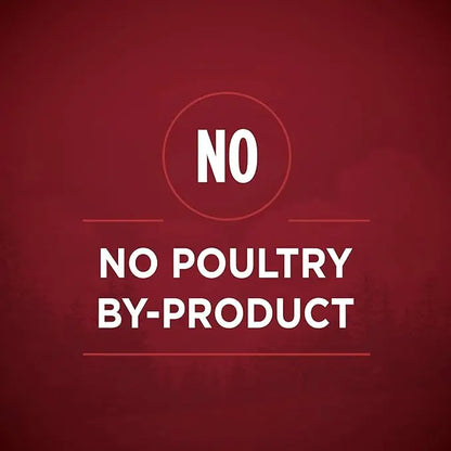 Purina ONE High Protein Wet Dog Food True Instinct Tender Cuts in Dog Food Gravy With Real Beef and Wild-Caught Salmon - (Pack of 12) 13 oz. Cans - PAWPICO