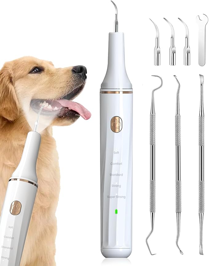 Hansaplast Plaque Remover for Teeth, Dog Teeth Cleaning, Dental Tools to Remove Tartar and Stains, Safe for Dogs & Cats, with Led Light & 5 Adjustable Modes(White) Hansaplast