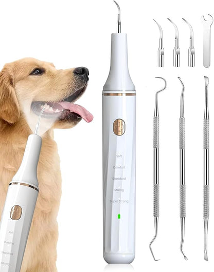 Hansaplast Plaque Remover for Teeth, Dog Teeth Cleaning, Dental Tools to Remove Tartar and Stains, Safe for Dogs & Cats, with Led Light & 5 Adjustable Modes(White) Hansaplast