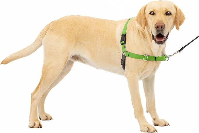 PetSafe Easy Walk No-Pull Dog Harness - The Ultimate Harness to Help Stop Pulling - Take Control & Teach Better Leash Manners - Helps Prevent Pets Pulling on Walks, Large, Apple Green/Gray PetSafe