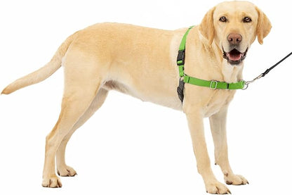 PetSafe Easy Walk No-Pull Dog Harness - The Ultimate Harness to Help Stop Pulling - Take Control & Teach Better Leash Manners - Helps Prevent Pets Pulling on Walks, Large, Apple Green/Gray PetSafe
