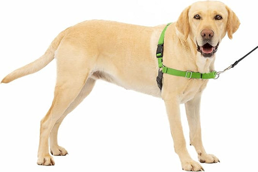 PetSafe Easy Walk No-Pull Dog Harness - The Ultimate Harness to Help Stop Pulling - Take Control & Teach Better Leash Manners - Helps Prevent Pets Pulling on Walks, Large, Apple Green/Gray PetSafe