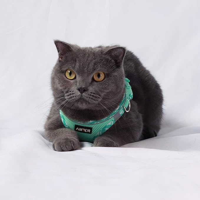 AMTOR Small Dog Harness with Leash Set, No Escape Easy Walk Puppy Harnesses for Training Walking, Step-in Reflective Soft Dogs Vest for XS S Medium Extra-Small Large Sized Dog(Green,XXXS) - PAWPICO