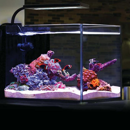 CURRENT Orbit Marine NANO LED 16 Watt Reef LED Saltwater Marine Aquarium Coral Light with Dimming, Moonlight, Cloud Cover & Lighting Storm Clip On Small Fish Tank w/Mounting Bracket (4095) Current+USA