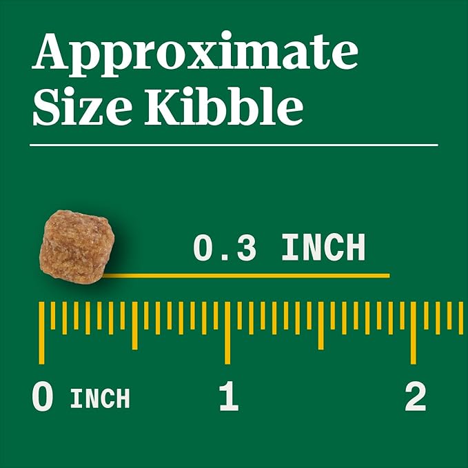 Nutro Natural Choice Adult Small Breed Dry Dog Food, Chicken and Brown Rice, 13 lbs. - PAWPICO