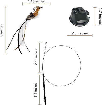 Interactive Suction Cup Cat Toy for Indoor Cat, Long Tail Feather Bird, Spring Wire Suctions to Ground, Hands Free Bird Simulation Cat Toy Wand Set that Sticks to Floor, Feathers & Bells - PAWPICO