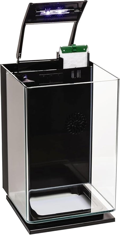 GloFish Aquarium Kit Fish Tank with LED Lighting and Filtration Included GloFish