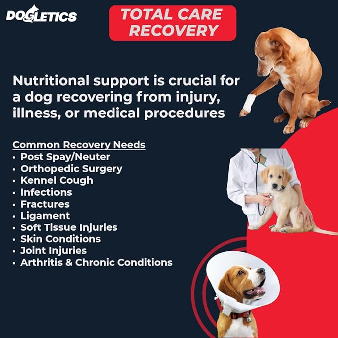 Total Care & Recovery - Dog Support During Recovery from Illness Injury or Chronic Health Problems, 90 ct Bacon Flavor - PAWPICO