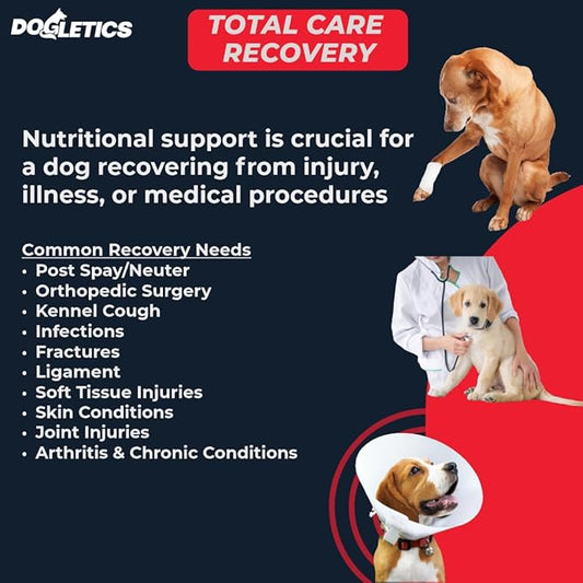 Total Care & Recovery - Dog Support During Recovery from Illness Injury or Chronic Health Problems, 90 ct Bacon Flavor - PAWPICO