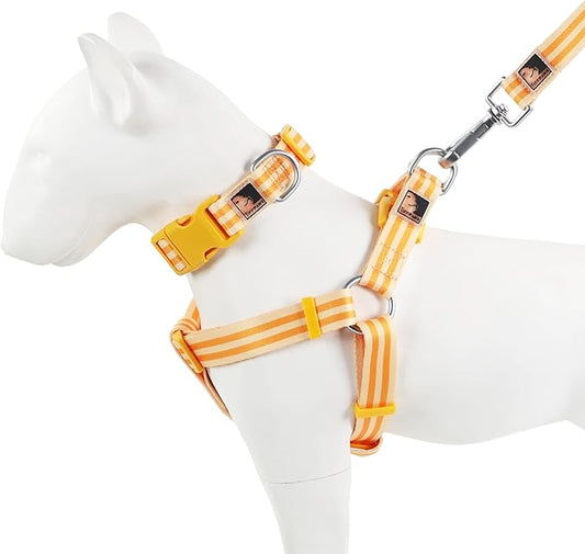 Striped Dog Harness Collar and Leash Set, Polyester Webbing Dog Collar Easy Walking and Training Dog Harness and Leash 3-in-1 Suit Adjustable Dog Harness Collar Leash Set for Dogs(Orange, L) Tiffpaws