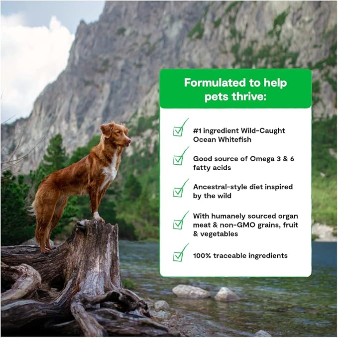 Open Farm RawMix Ancient Grains Wild-Ocean Recipe for Dogs, Includes Kibble, Bone Broth, and Freeze Dried Raw, Inspired by The Wild, Humanely Raised Protein and Non-GMO Fruits and Veggies, 20 lb - PAWPICO