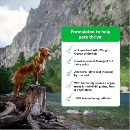 Open Farm RawMix Ancient Grains Wild-Ocean Recipe for Dogs, Includes Kibble, Bone Broth, and Freeze Dried Raw, Inspired by The Wild, Humanely Raised Protein and Non-GMO Fruits and Veggies, 20 lb - PAWPICO