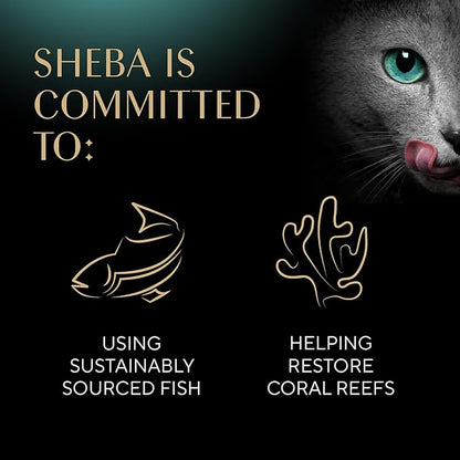 Sheba Meaty Tender Sticks Soft Cat Treats Salmon Flavor, 0.14 oz., 5 Count (Pack of 10) Sheba
