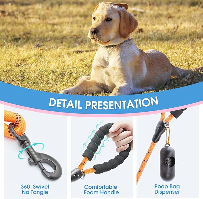BAAPET 2/4/5/6 FT Dog Leash with Comfortable Padded Handle and Highly Reflective Threads for Small Medium and Large Dogs (6FT-1/2'', Orange) BAAPET