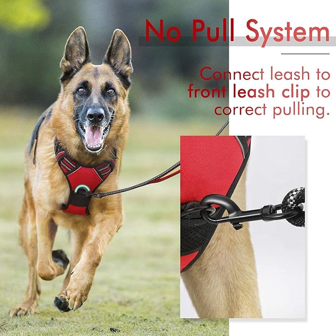 rabbitgoo Dog Harness, No-Pull Pet Harness with 2 Leash Clips, Adjustable Soft Padded Dog Vest, Reflective No-Choke Pet Oxford Vest with Easy Control Handle for Medium Dogs, Red, M - PAWPICO
