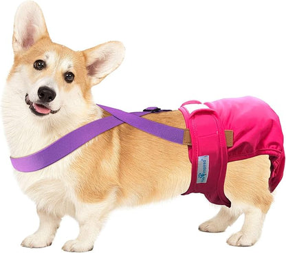 Paw Inspired Dog Diaper Suspenders with Velcro Fasteners | Stretchy Adjustable Suspenders for Female and Male Disposable and Washable Diapers | Fits Small, Medium and Large Size Pets (M/L, Purple) - PAWPICO