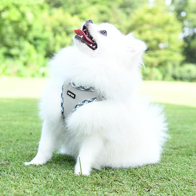 AMTOR Small Dog Harness with Leash Set, No Escape Easy Walk Puppy Harnesses for Training Walking, Step-in Reflective Soft Dogs Vest for XS S Medium Extra-Small Large Sized Dog(Grey) AMTOR