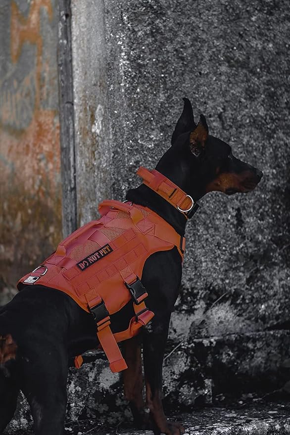 OneTigris No Pull Tactical Dog Harness for Large Dog, Mesh Design Breathable Service Dog Vest with Handle, Military Dog Vest Harness with Molle Panels for Walking Hiking Training (Orange, Large) OneTigris