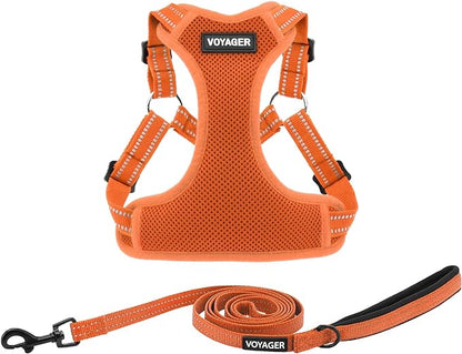 Best Pet Supplies Voyager Adjustable Dog Harness Leash Set with Reflective Stripes for Walking Heavy-Duty Full Body No Pull Vest with Leash D-Ring, Breathable All-Weather - Harness (Orange), XS BestPetSuppliesLLC