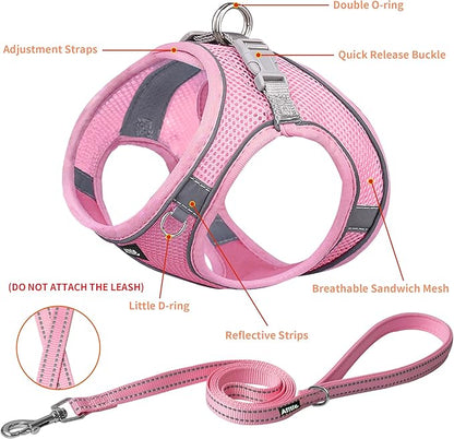 AIITLE Dog Harness, Spring No-Pull Cat Harness with a Leash, Adjustable Reflective Dog Vest, Cat Harness Escape Proof, Outdoor Walking, Camping for Extra Small Dogs and House Cats Pure Pink XXXS AIITLE-FORPETSBETTERLIFE