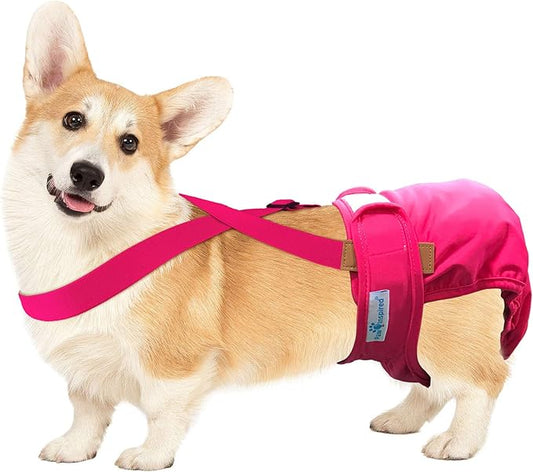 Paw Inspired Dog Diaper Suspenders with Velcro Fasteners | Stretchy Adjustable Suspenders for Female and Male Disposable and Washable Diapers | Fits Small, Medium and Large Size Pets (S/M, Pink) - PAWPICO