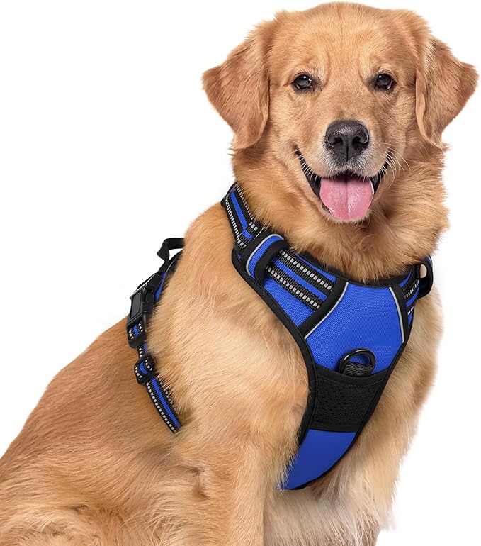 rabbitgoo Dog Harness No Pull with 2 Leash Clips, Adjustable Soft Padded, Reflective Oxford No Choke Pet Vest with Easy Control Handle for Large Dogs, Dazzling Blue, XL rabbitgoo