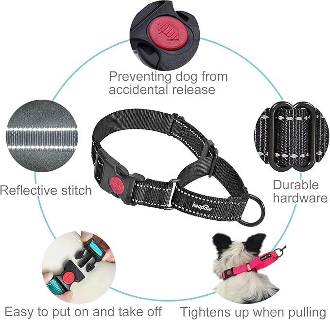 haapaw 2 Packs Martingale Dog Collar with Quick Release Buckle Reflective Dog Training Collars for Small Medium Large Dogs haapaw