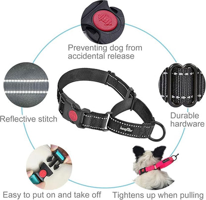 haapaw 2 Packs Martingale Dog Collar with Quick Release Buckle Reflective Dog Training Collars for Small Medium Large Dogs haapaw