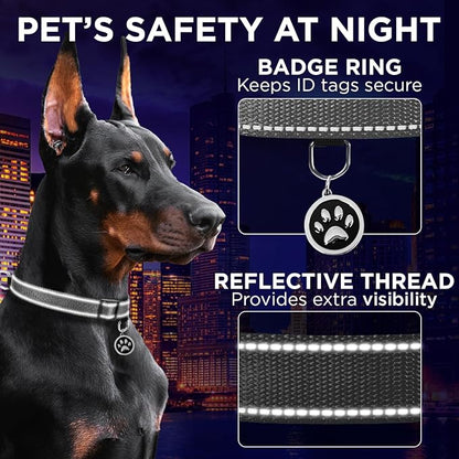 TECEUM Reflective Pet Collar – Gray – XS – Basic Nylon Dog Collar – Quick Release Buckle – Fits Small, Medium and Large Dogs, Puppies, Cats – ESA & Service Dog Options TECEUM