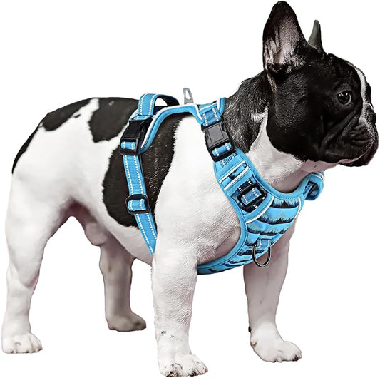 Timos Dog Harness for Small Dogs No Pull,Front Clip Dog Walking Harness with Reflective Adjustable Soft Padded Vest and Easy Control Handle,No-Choke Pet Harness with 2 Metal Rings,Morning,S Timos