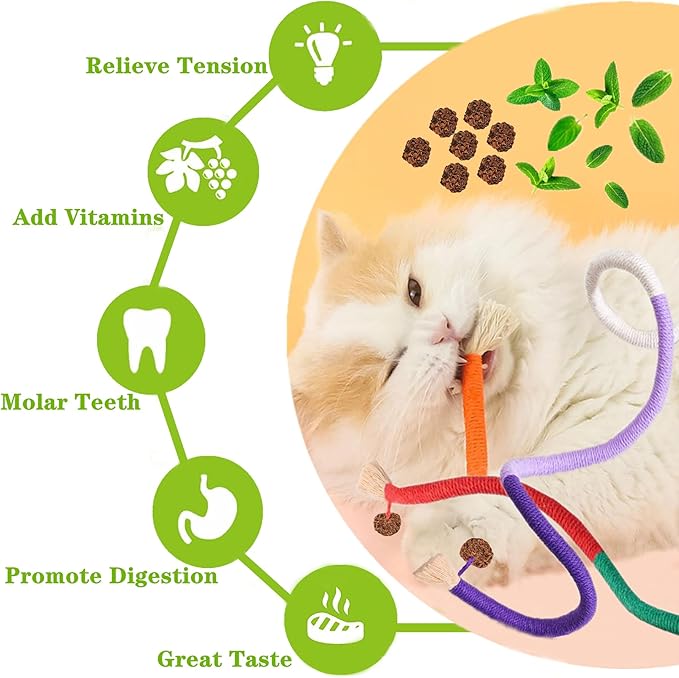 Cat Toys 21PCS Catnip Toy for Indoor Kitten Toys Cat Chew Stick for Dental Cleaning Teeth Cat Silvervine Rope Treat Kitty Feather Snack for for Kick Molar Scratch Self Play Interactive Boredom - PAWPICO