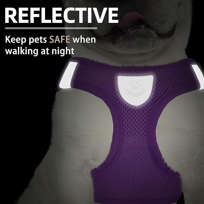PUPTECK Adjustable Dog Harness Collar and Leash Set Step in No Pull Pet Harness for Small Medium Dogs Puppy and Cats Outdoor Walking Running, Soft Mesh Padded Reflective Vest Harnesses PUPTECK