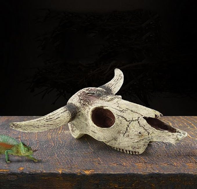 Leoyoubei Aquarium Decoration, Fish Tank Small Skull,Fish Turtle Hidden, Bonsai beautification. Cave Landscape Pet Reptile House Shrimps & Snails Love Them (Cattle Skull) Leoyoubei