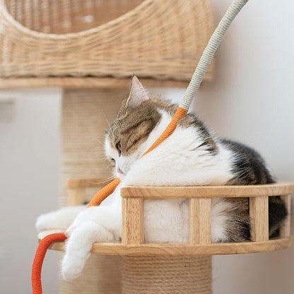 Quacc 4 PCS Cat Chew Toy Bite Ropes with Natural Gall Fruit, Colorful Kitten Chew Rope Interactive Cat Toy Sturdy Chewing Ropes for Cat Teeth Cleaning Stress Release - 27.6" - PAWPICO