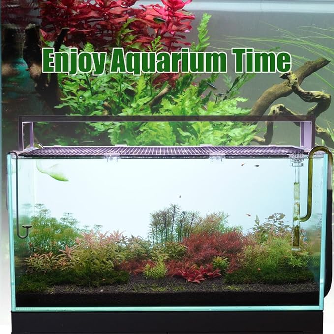 6 Pieces Aquarium Lid Clips, Transparent ABS Plastic Rimless Fish Tank Top Cover Support, Suitable for Plastic Dividers and DIY Anti-Jump LINLAN