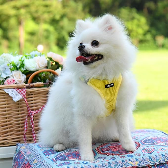 AMTOR Small Dog Harness with Leash Set, No Escape Easy Walk Puppy Harnesses for Training Walking, Step-in Reflective Soft Dogs Vest for XS S Medium Extra-Small Large Sized Dog(Yellow) AMTOR