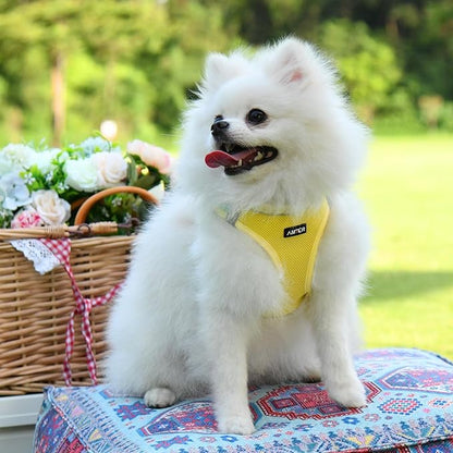 AMTOR Small Dog Harness with Leash Set, No Escape Easy Walk Puppy Harnesses for Training Walking, Step-in Reflective Soft Dogs Vest for XS S Medium Extra-Small Large Sized Dog(Yellow) AMTOR