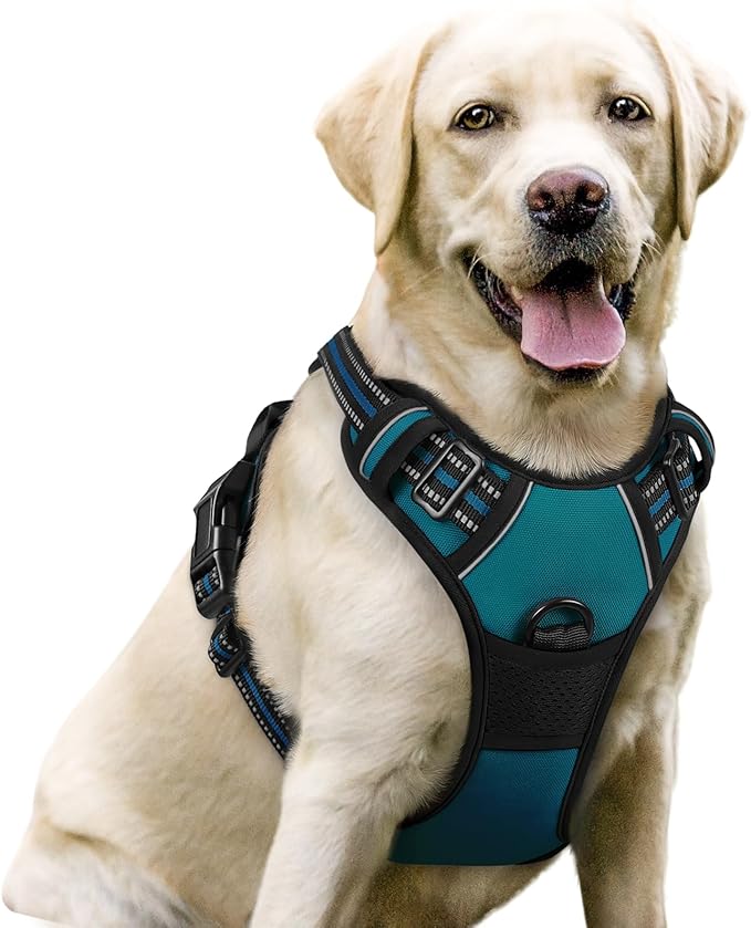 rabbitgoo Dog Harness No Pull with 2 Leash Clips, Adjustable Soft Padded, Reflective Oxford No Choke Pet Vest with Easy Control Handle for Large Dogs, Blue Coral, L rabbitgoo